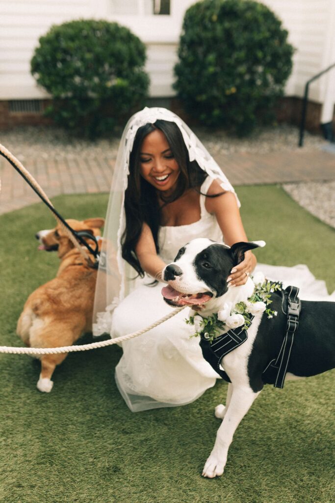 A smiling bride pets her two dogs wearing flowers while kneeling in the merrimon wynne house wedding venue lawn